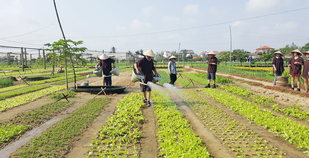 Hoi An Eco Tour